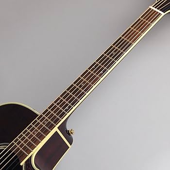 Amazon | Takamine DMP551C WR エレアコギター 500シリーズ (タカミネ